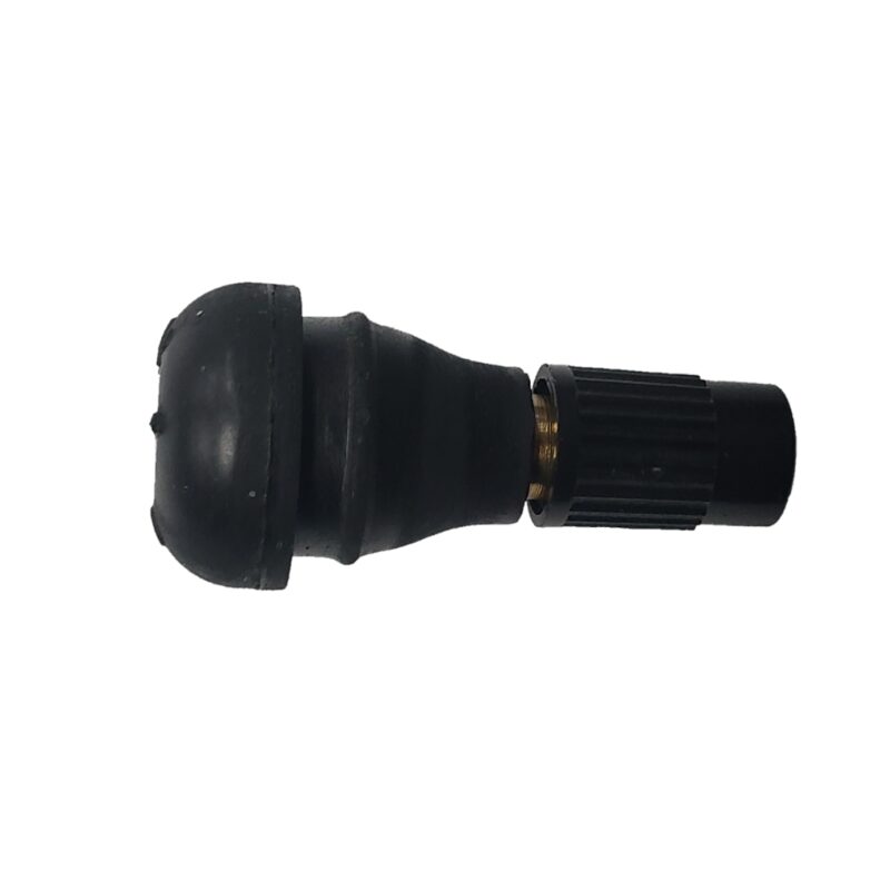 Tire Valve with Cap