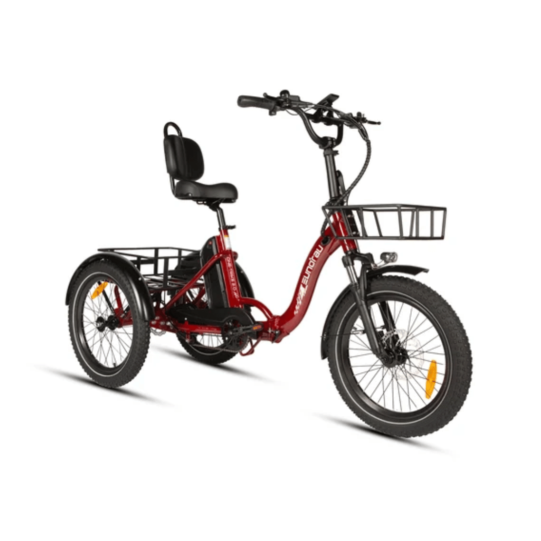 ONE-TRIKE 2.0 Eunorau