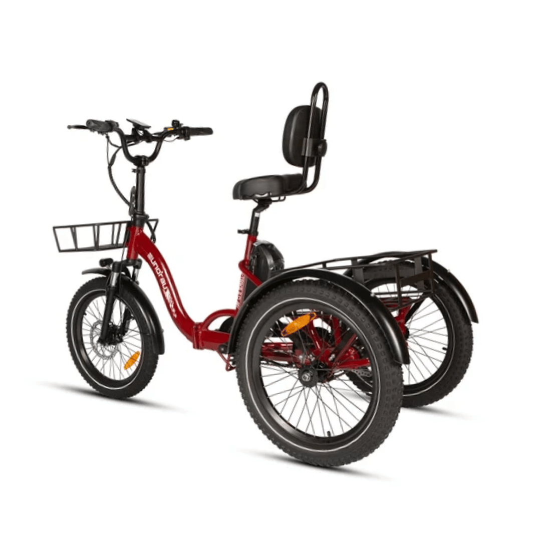 ONE-TRIKE 2.0 Eunorau